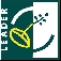 logo lider